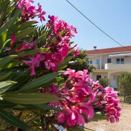Apartments Maco Petrcane Εξωτερικό φωτογραφία