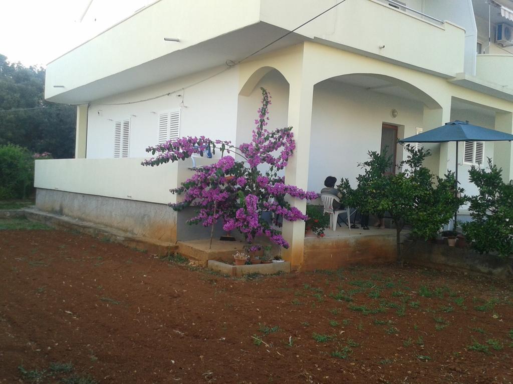 Apartments Maco Petrcane Δωμάτιο φωτογραφία