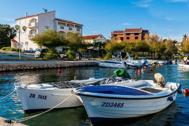 Apartments Maco Petrcane Δωμάτιο φωτογραφία