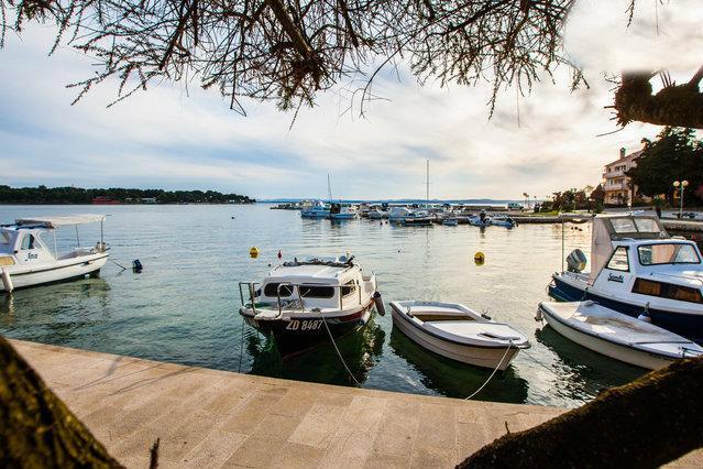 Apartments Maco Petrcane Δωμάτιο φωτογραφία