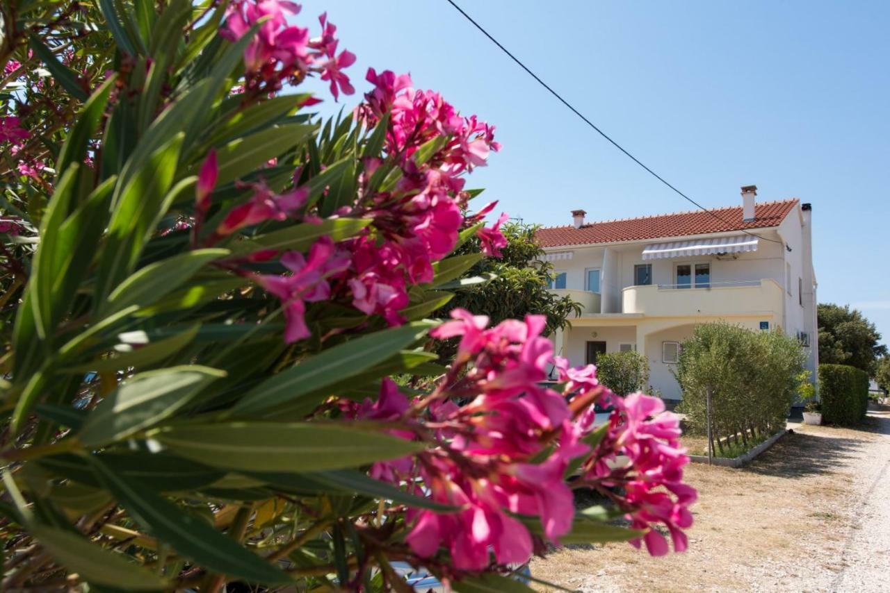 Apartments Maco Petrcane Εξωτερικό φωτογραφία