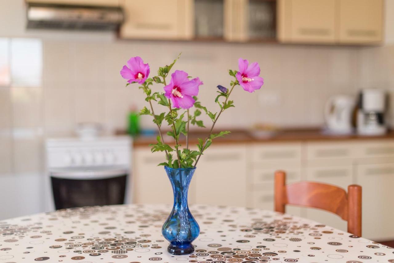 Apartments Maco Petrcane Εξωτερικό φωτογραφία