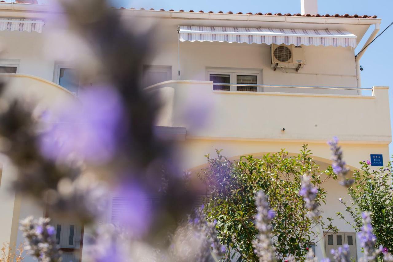 Apartments Maco Petrcane Εξωτερικό φωτογραφία